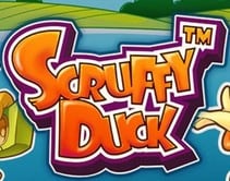 Scruffy Duck 